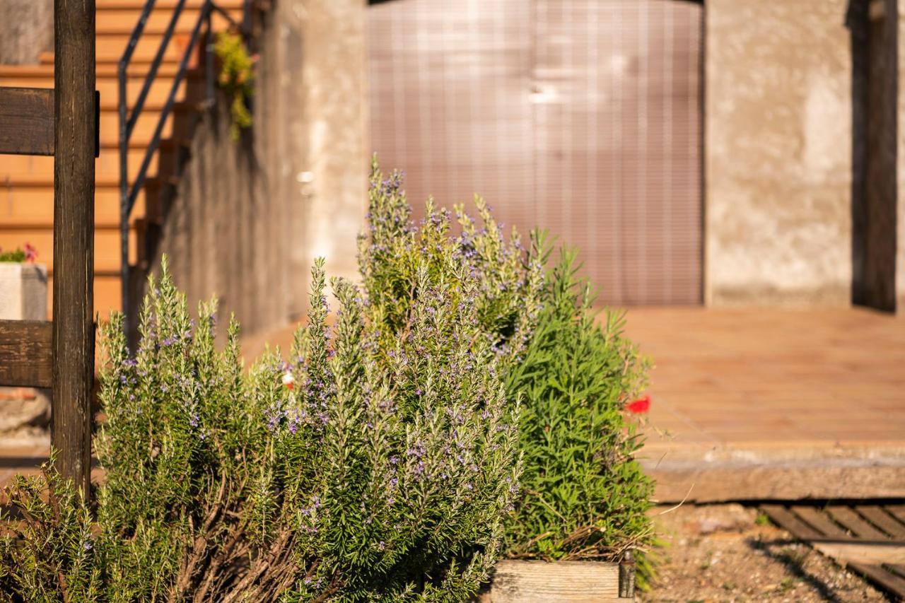 Casa Rural, Can Cirera Serinya Exterior photo